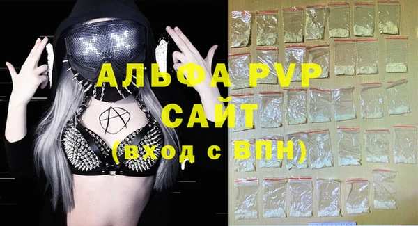 PSILOCYBIN Гусиноозёрск