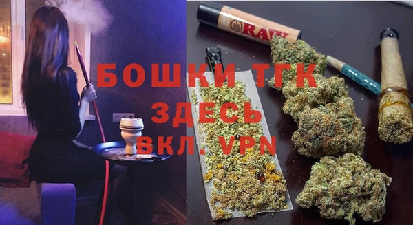 PSILOCYBIN Гусиноозёрск