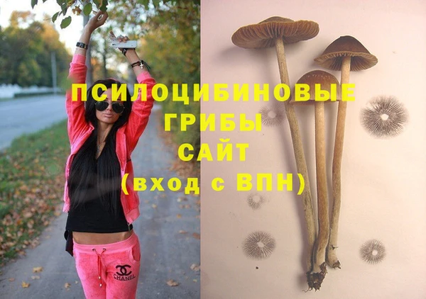 PSILOCYBIN Гусиноозёрск