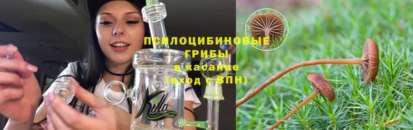 PSILOCYBIN Гусиноозёрск