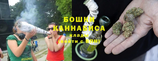 PSILOCYBIN Гусиноозёрск